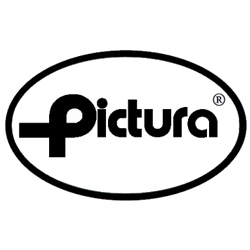 pictura250