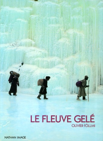 Couverture Fleuve gelé