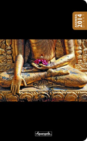 Agenda 2014 (Bouddha)